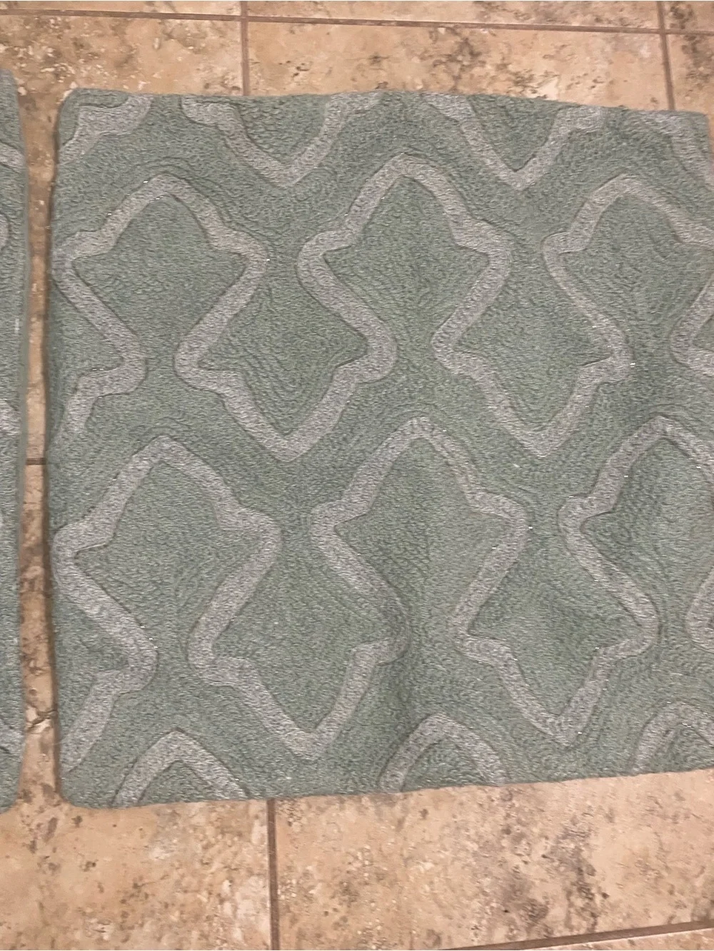 2 Pottery Barn Textured Beaded Sage Decorative Square Trellis Pillow Shams 19x19